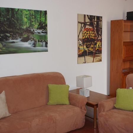 !Your Home In Madeira فونشال المظهر الخارجي الصورة