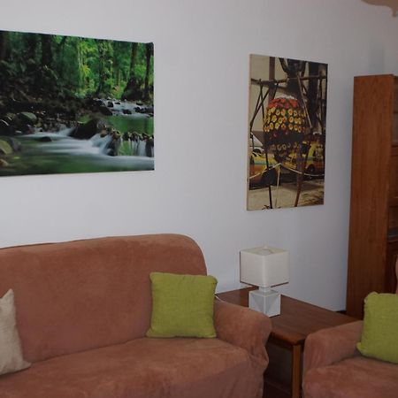 !Your Home In Madeira فونشال المظهر الخارجي الصورة