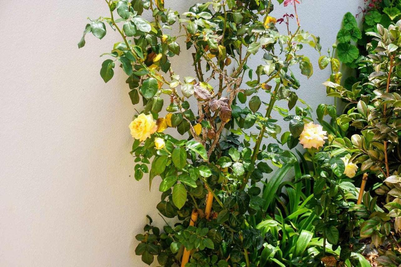 !Your Home In Madeira فونشال المظهر الخارجي الصورة