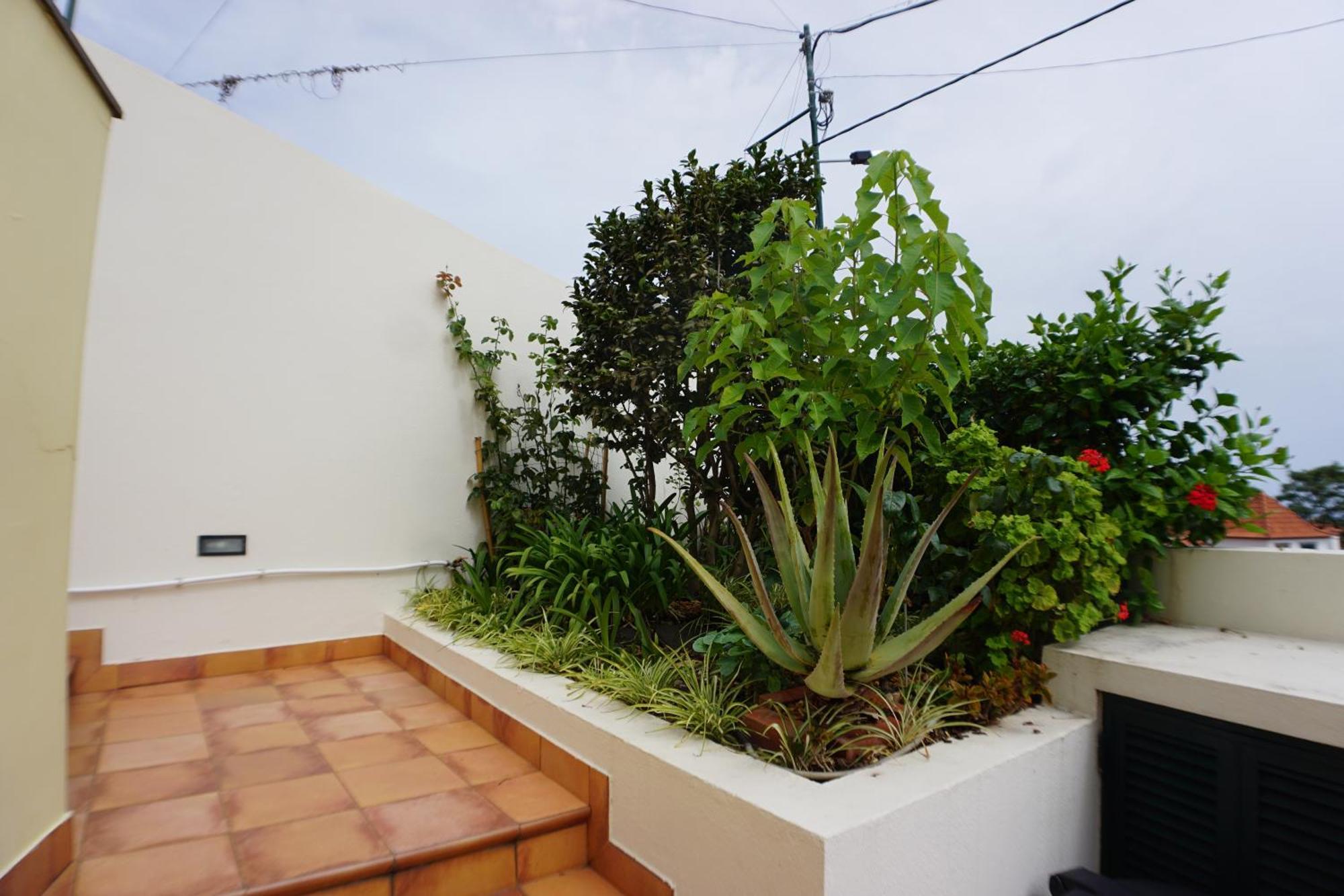 !Your Home In Madeira فونشال المظهر الخارجي الصورة